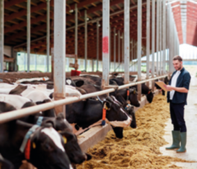 Alfa Fryslân is op zoek naar een expert in de agrarische sector