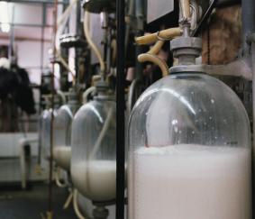 Duurzaamheidskengetallen melkvee 2016