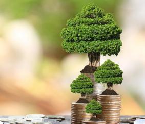 Subsidie: Investeren in groen-economisch herstel